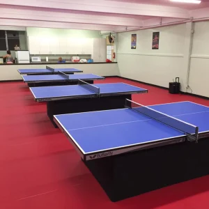 Table Tennis (Coming Soon)
